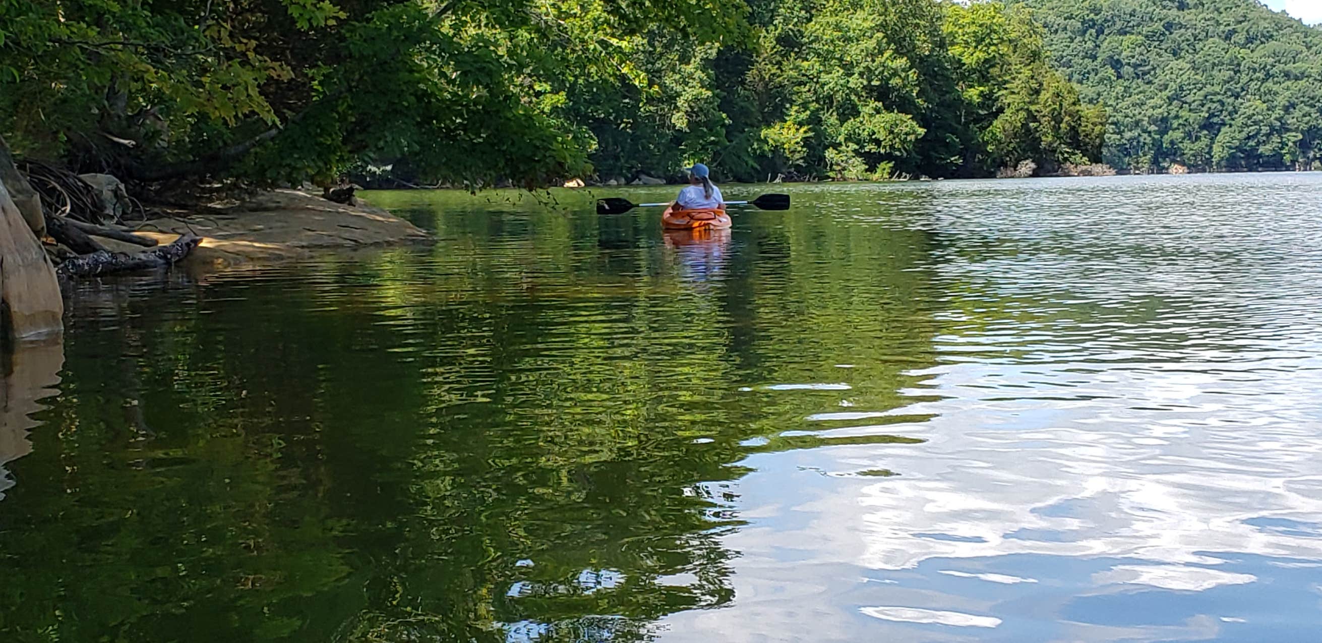 Panther Creek State Park Camping | The Dyrt