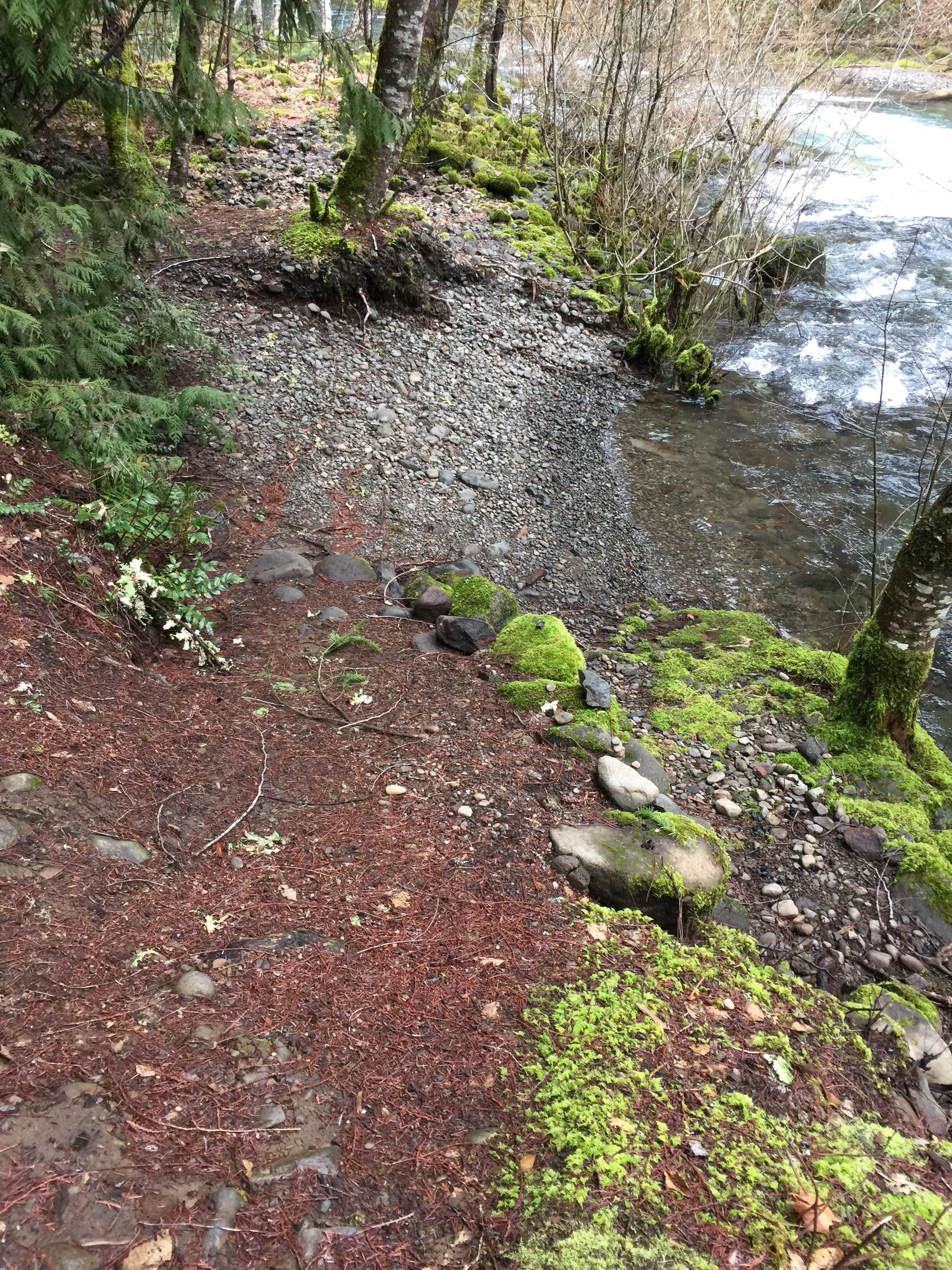 Camper submitted image from Bagby Hot Springs Campground - 4