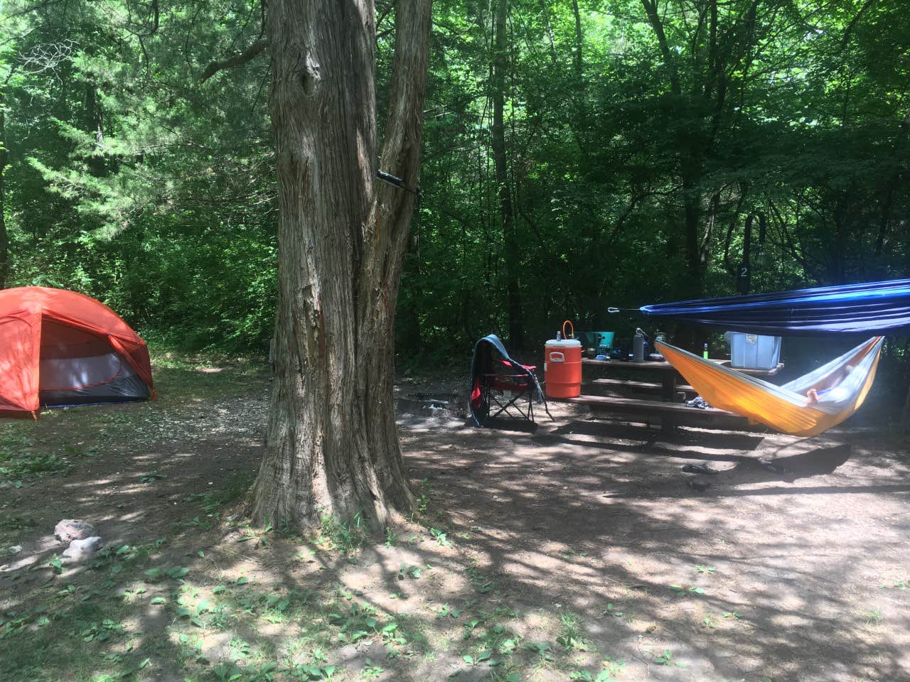 Kura O.'s photo at Paddy Creek Recreation Area near Dixon, MO