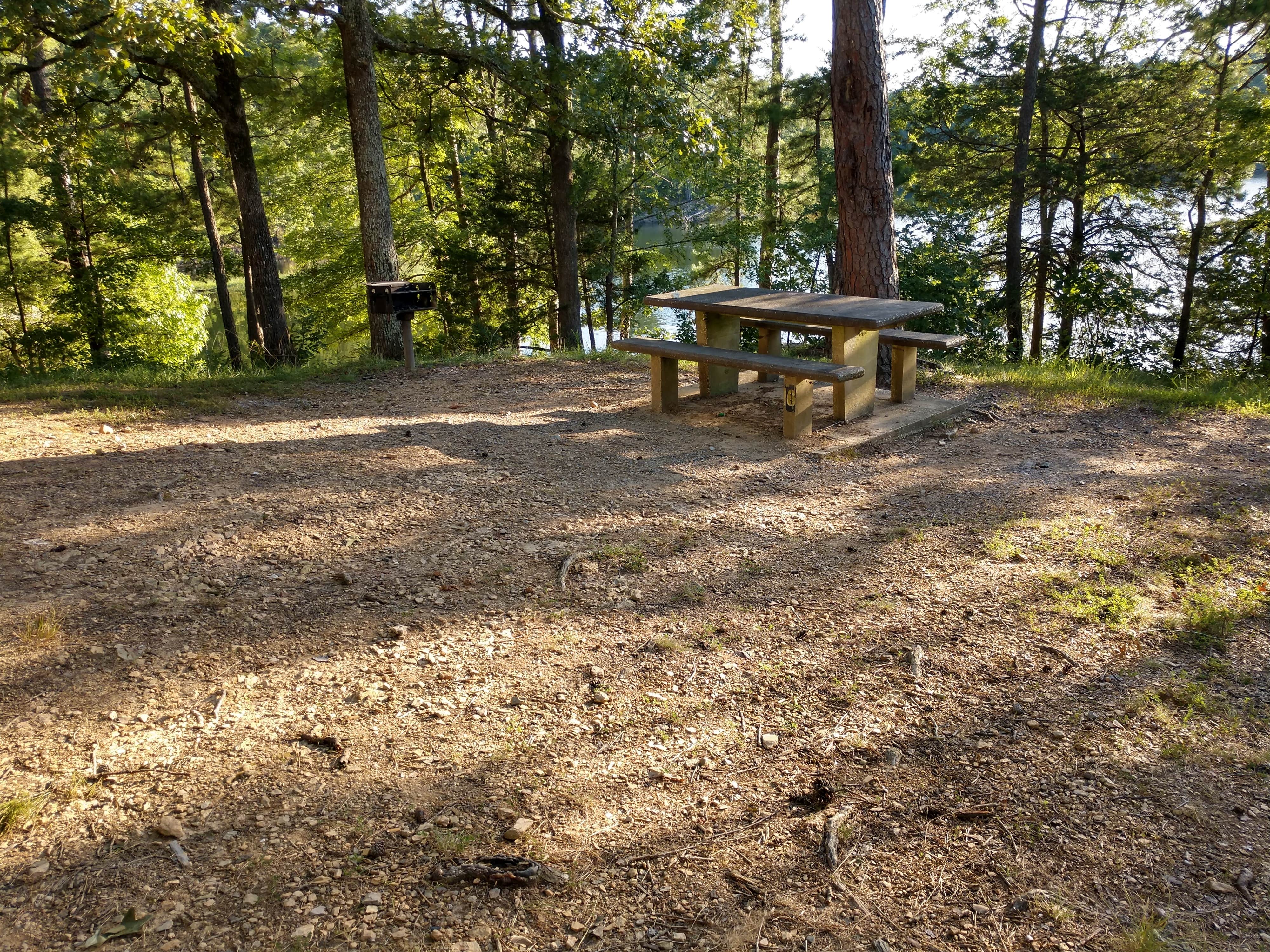 Camper submitted image from Big Fir Primitive Camping - 2