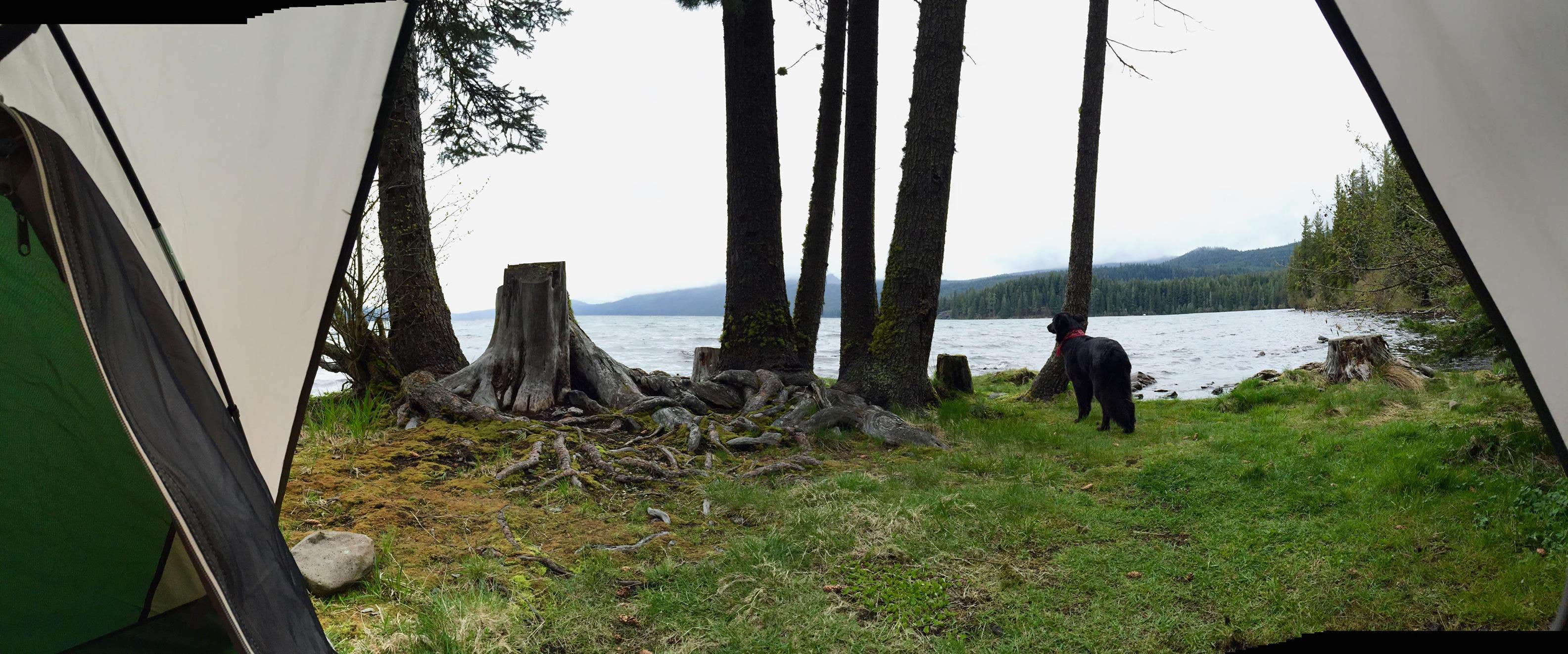 Camper submitted image from Odell Lake Lodge & Resort Campground - 2