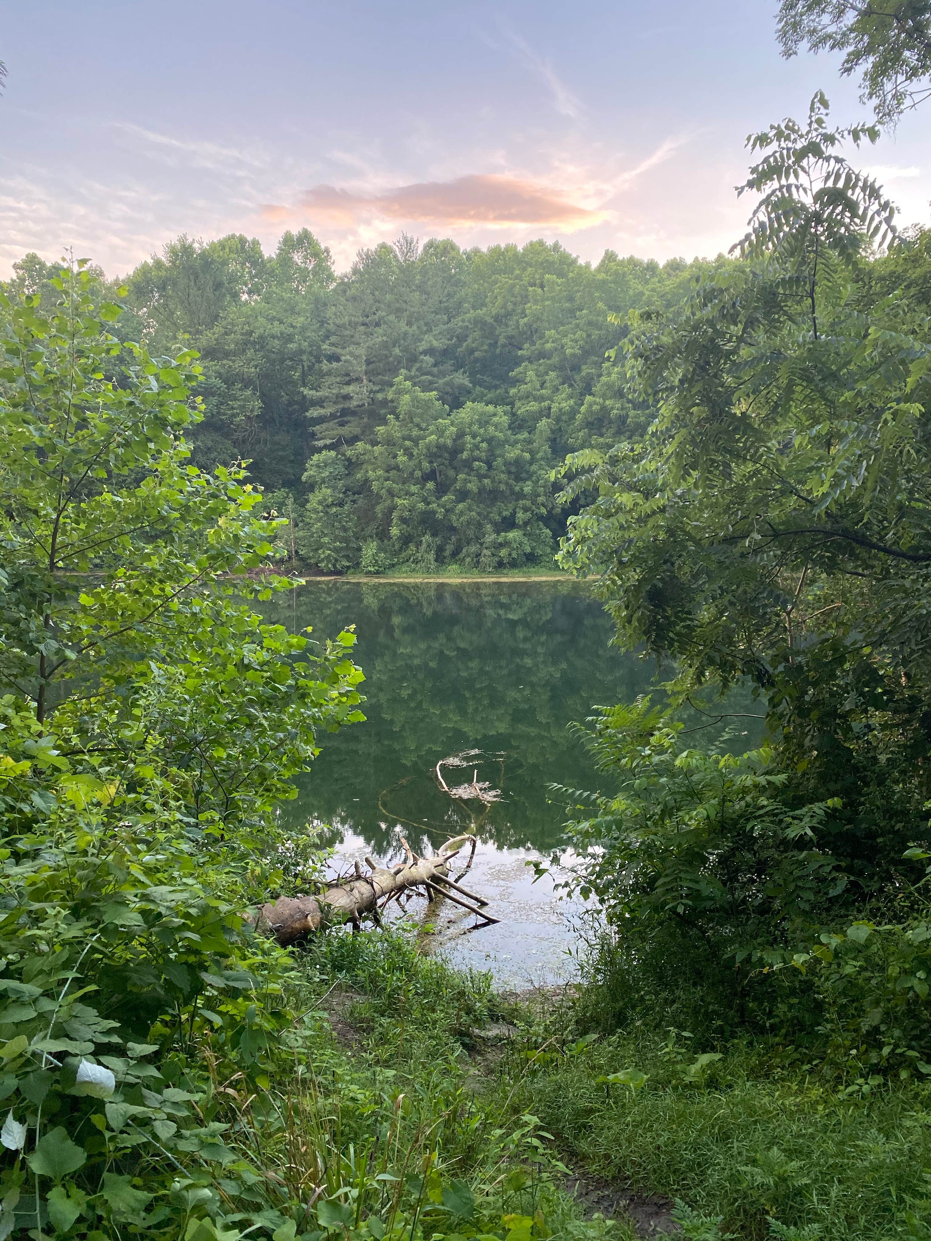 Camper-submitted photo at Sand Hollow (Campground C) — Jesse Owens State Park near Clifton, OH