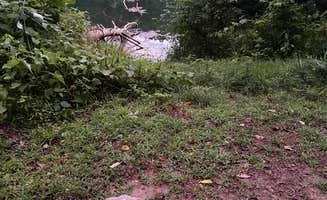 Haley J.'s photo of camping with pets at Sand Hollow (Campground C) — Jesse Owens State Park near New Lexington, OH