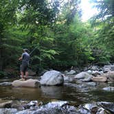 Review photo of White Mountain National Forest by Eliza S., July 14, 2020