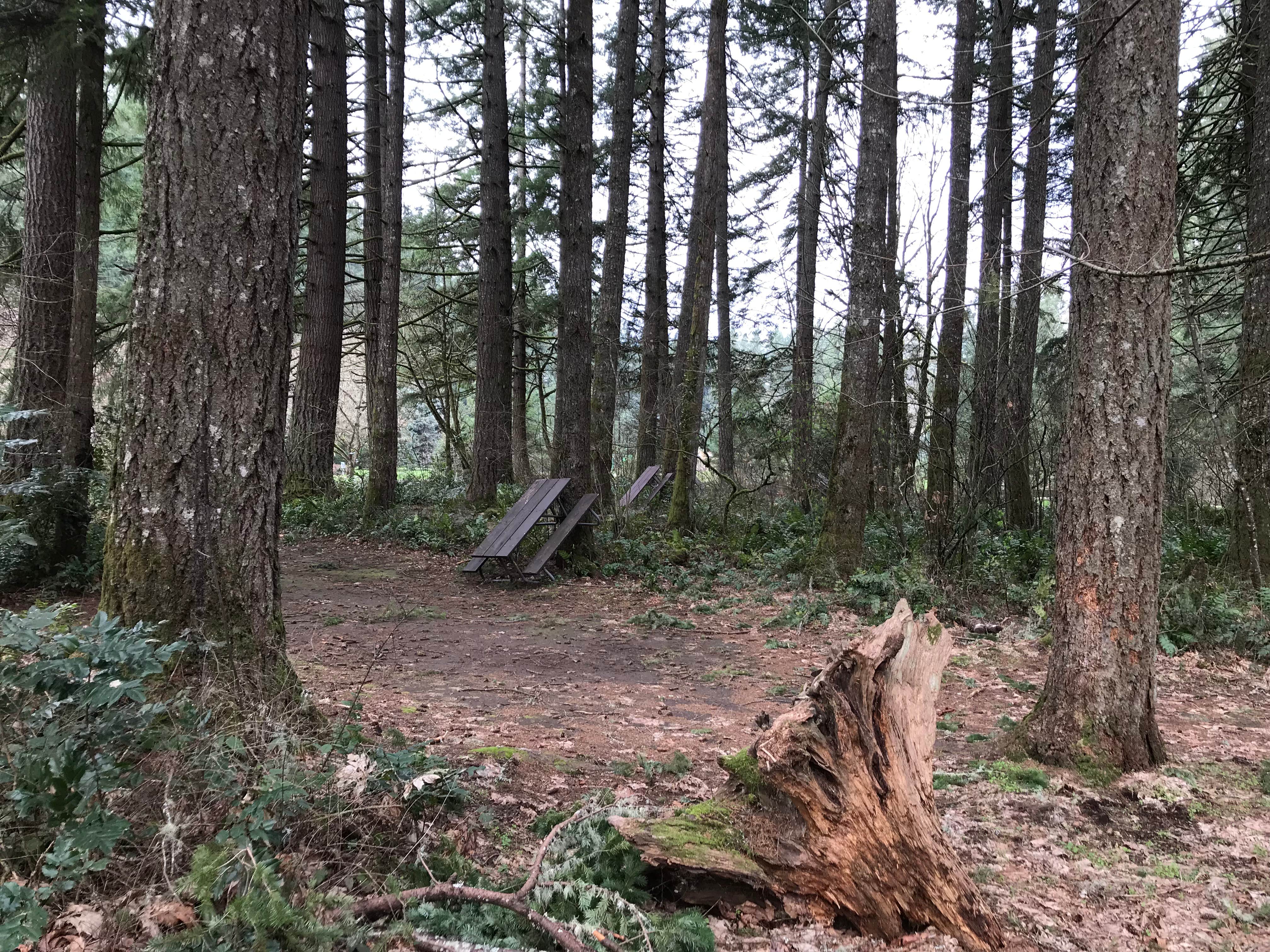 Camper submitted image from Barton County Park Campground - 2