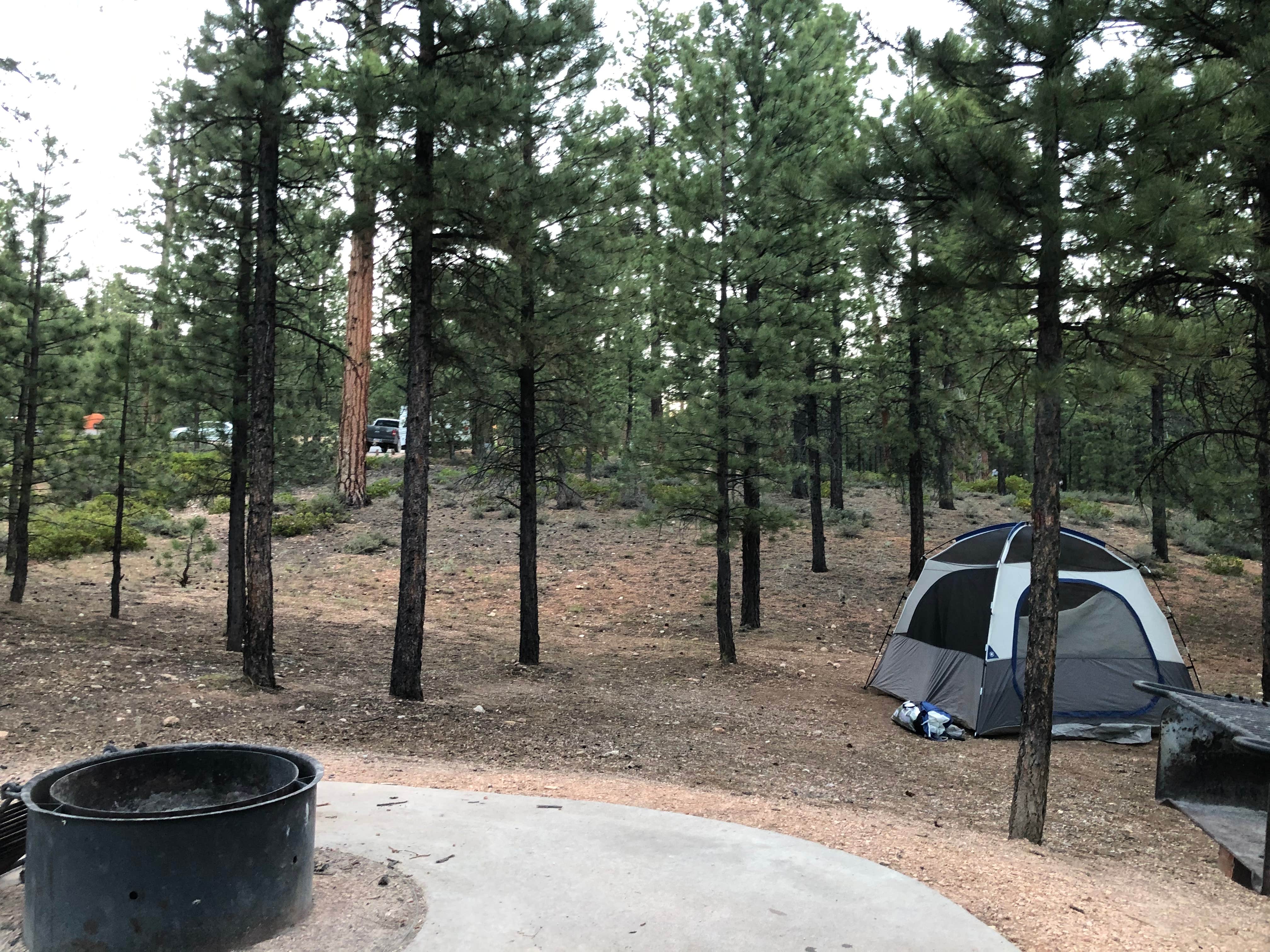 Thomas B.'s photo at Kings Creek near Bryce Canyon National Park