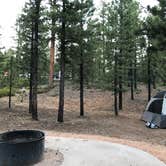 Review photo of Dixie National Forest King Creek Group Site by Thomas B., July 14, 2020