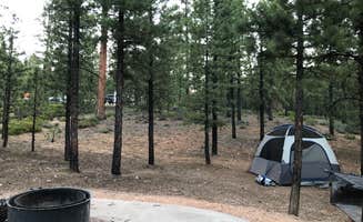 Thomas B.'s photo at Dixie National Forest King Creek Group Site near Tropic, UT