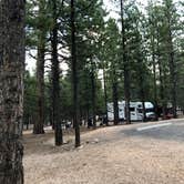 Review photo of Dixie National Forest King Creek Group Site by Thomas B., July 14, 2020