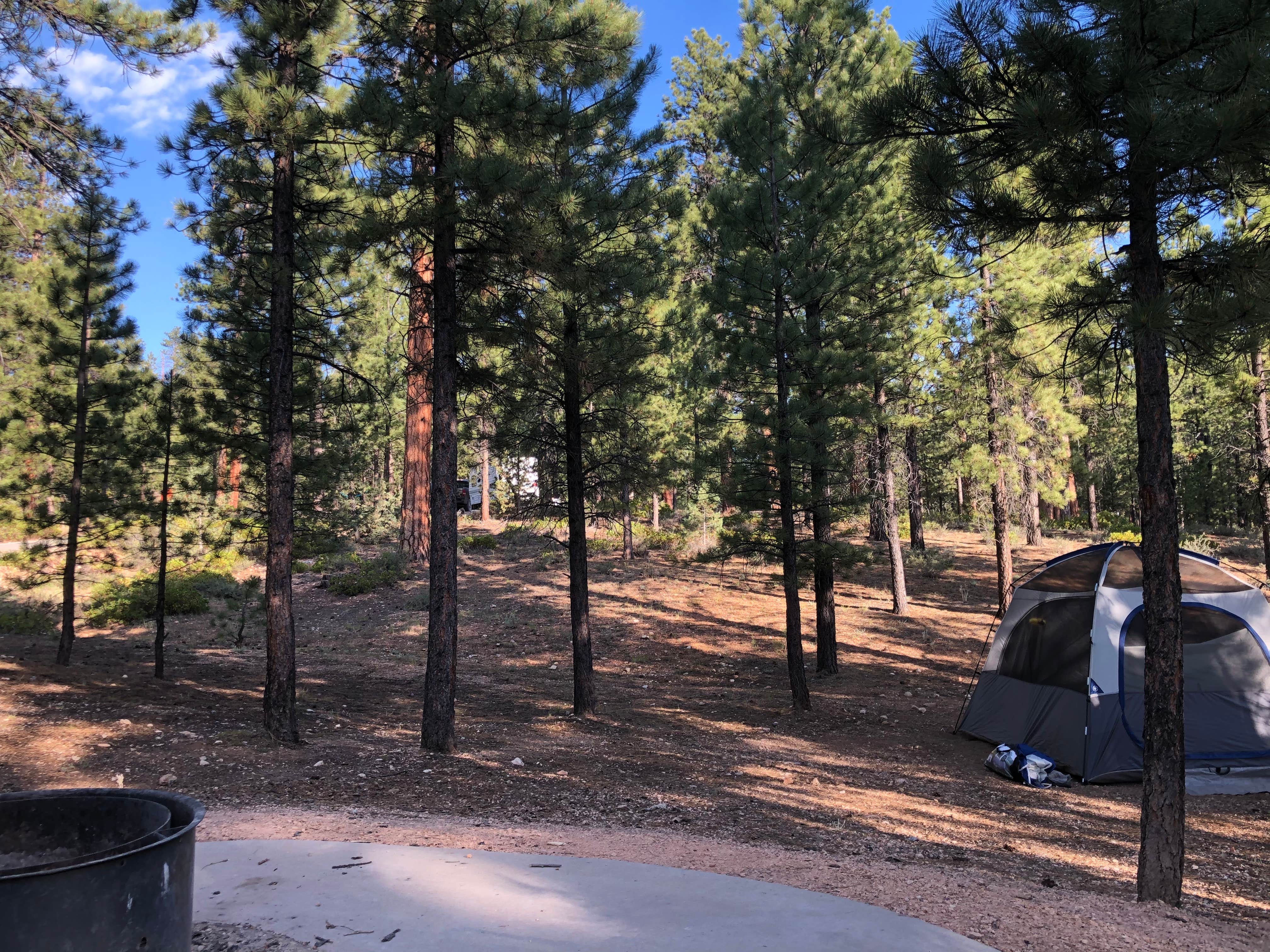 Thomas B.'s photo at Dixie National Forest King Creek Group Site near Bryce Canyon National Park