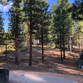 Review photo of Dixie National Forest King Creek Group Site by Thomas B., July 14, 2020