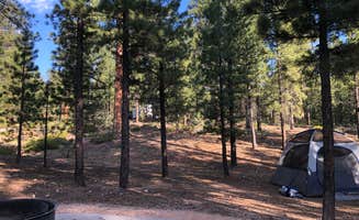 Thomas B.'s photo at Dixie National Forest King Creek Group Site near Bryce Canyon National Park