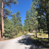 Review photo of Dixie National Forest King Creek Group Site by Thomas B., July 14, 2020