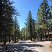 Review photo of Dixie National Forest King Creek Group Site by Thomas B., July 14, 2020