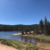 Review photo of Dixie National Forest King Creek Group Site by Thomas B., July 14, 2020