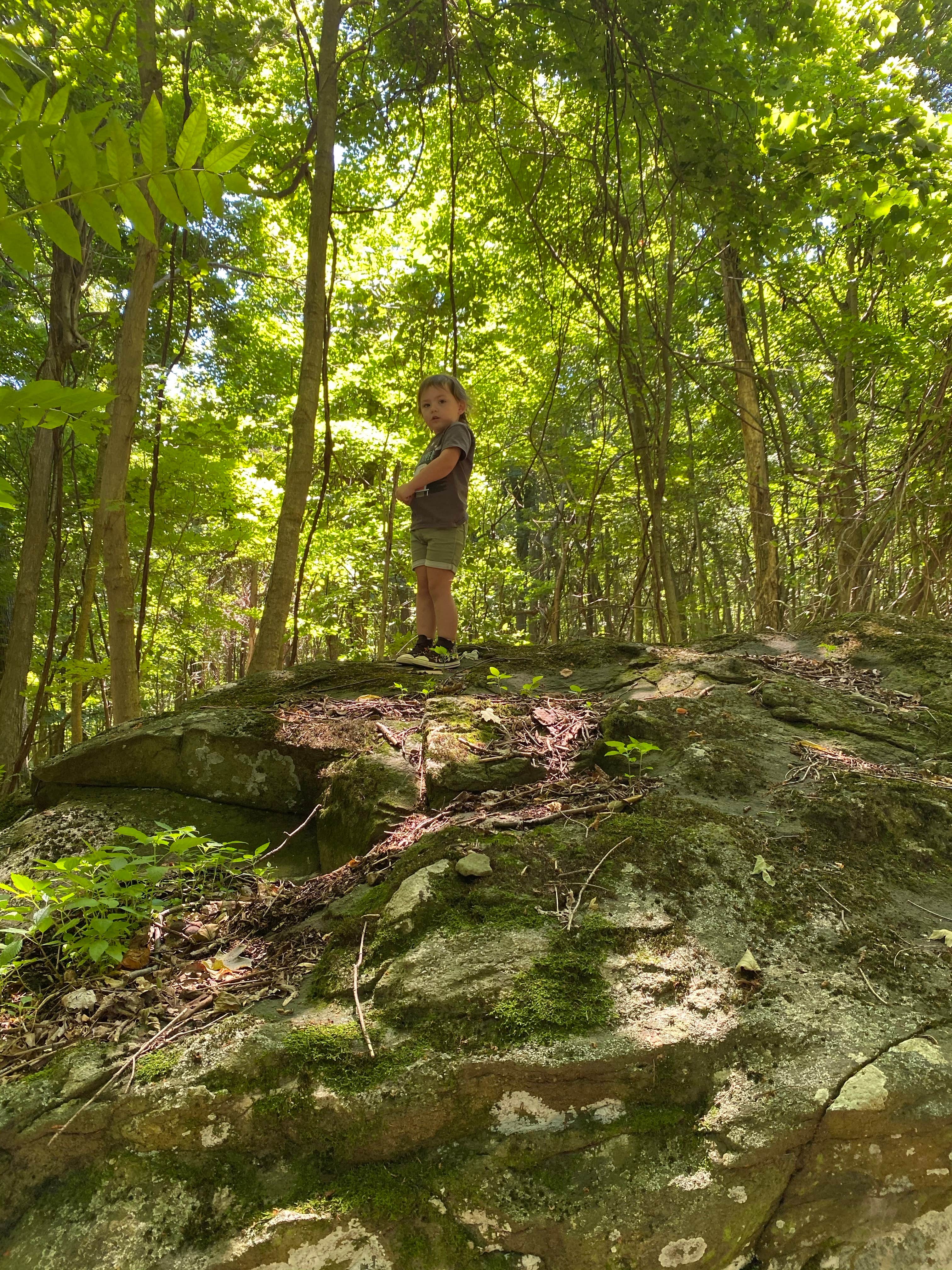 Camper submitted image from Houck - Cunningham Falls State Park - 4