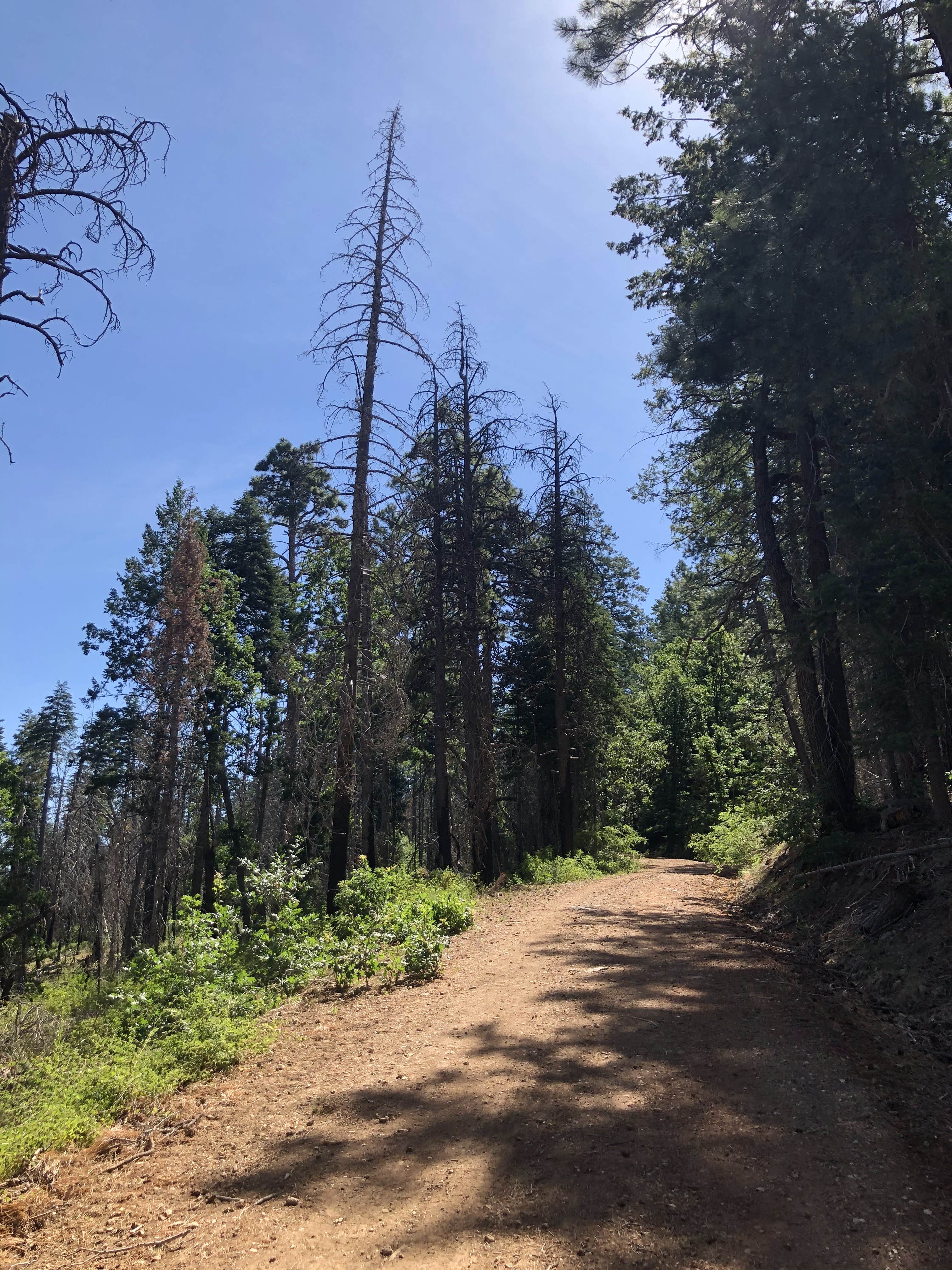Camper-submitted photo at Edge of the World (East Pocket) near Cottonwood, AZ