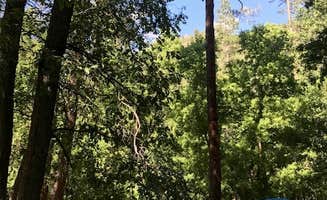 Ben G.'s photo at Cave Springs near Munds Park, AZ