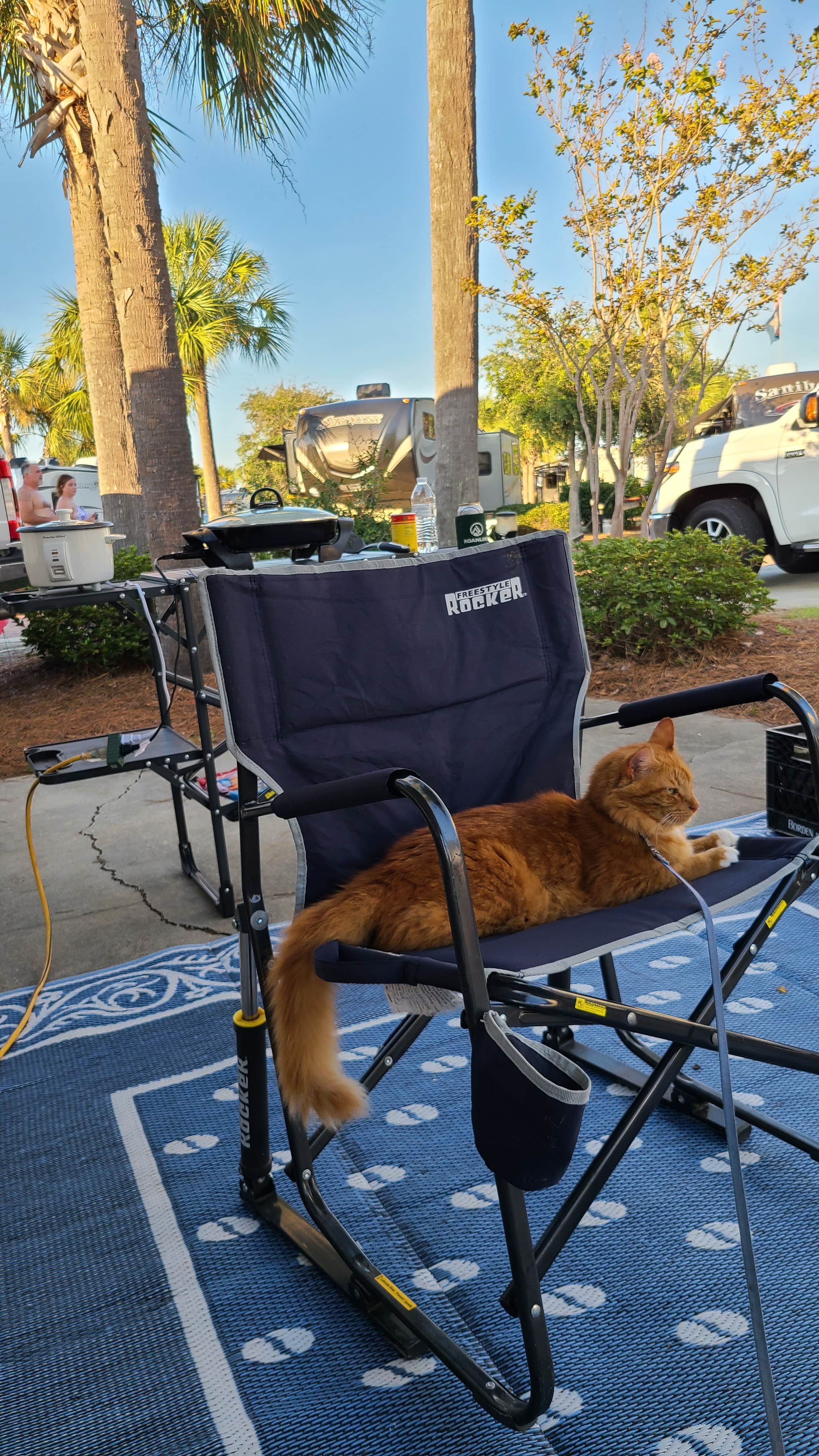 Cat R.'s photo of camping with pets at Panama City Beach RV Resort near Panama City Beach, FL
