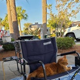 Review photo of Panama City Beach RV Resort by Cat R., July 14, 2020