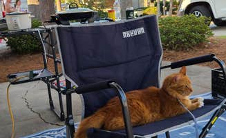 Cat R.'s photo of camping with pets at Panama City Beach RV Resort near Panama City Beach, FL