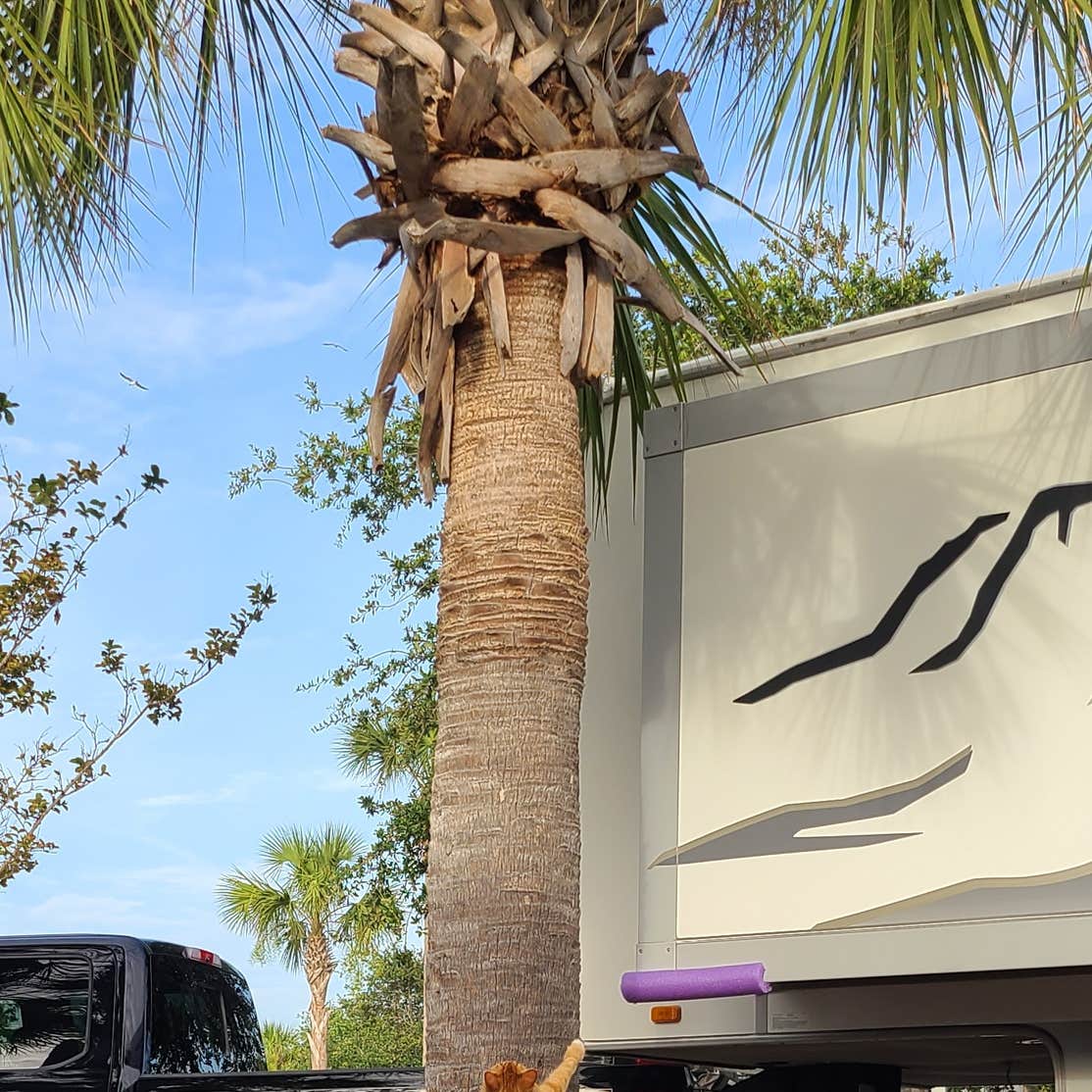 Panama City Beach RV Resort Camping The Dyrt