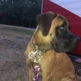 Review photo of Outdoor Adventures Rifle River Resort Campground by Katrina M., July 14, 2020