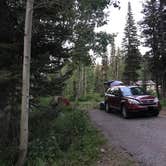 Review photo of Caribou National Forest Emigration Campground by Susan V., July 14, 2020