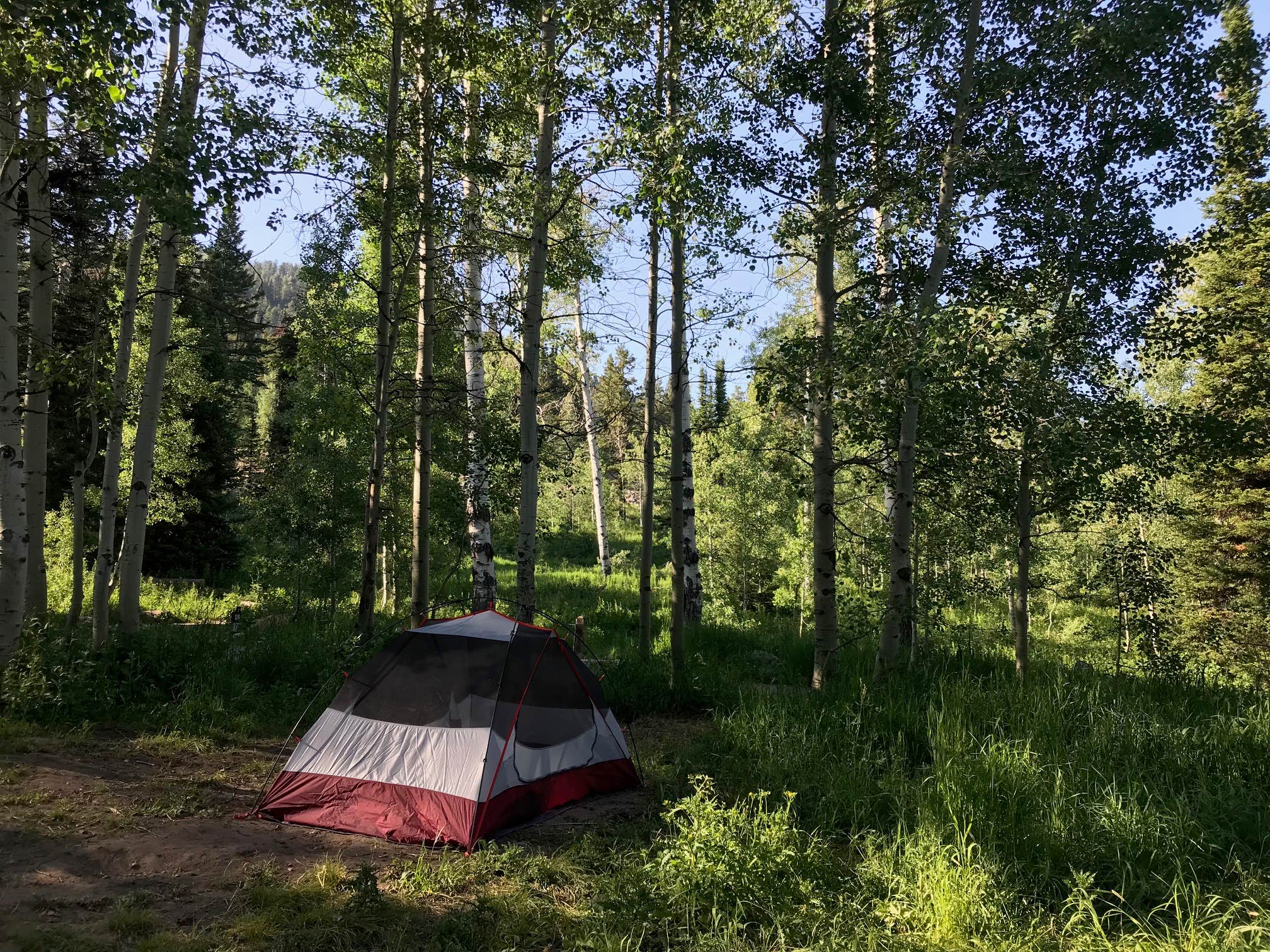 Susan V.'s photo at Caribou National Forest Emigration Campground near Soda Springs, ID