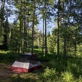 Review photo of Caribou National Forest Emigration Campground by Susan V., July 14, 2020