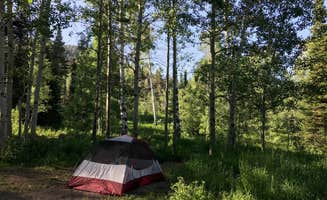 Susan V.'s photo at Caribou National Forest Emigration Campground near Montpelier, ID