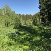 Review photo of Caribou National Forest Emigration Campground by Susan V., July 14, 2020