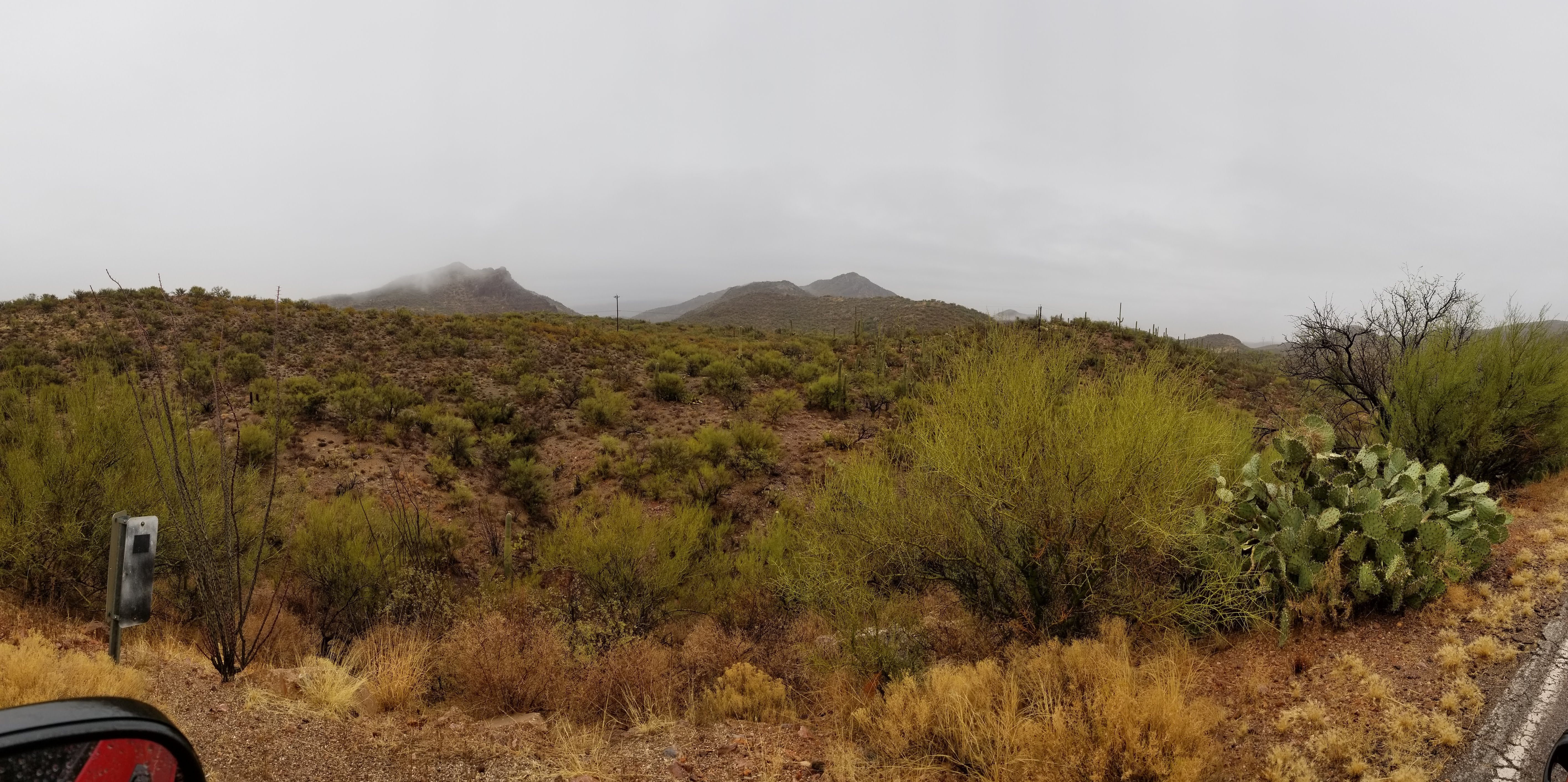 Camper submitted image from Colossal Cave Mountain Park - 2