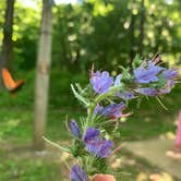 Review photo of Sam A. Baker State Park Campground by Susan R., July 14, 2020