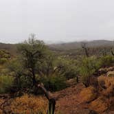 Review photo of Colossal Cave Mountain Park by Krista Z., February 17, 2018