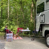 Review photo of Wilderness Road - Cumberland Gap National Historic Park by Laurel K., July 15, 2020
