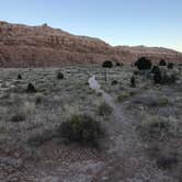Review photo of Cathedral Gorge State Park Campground by Susan V., July 15, 2020