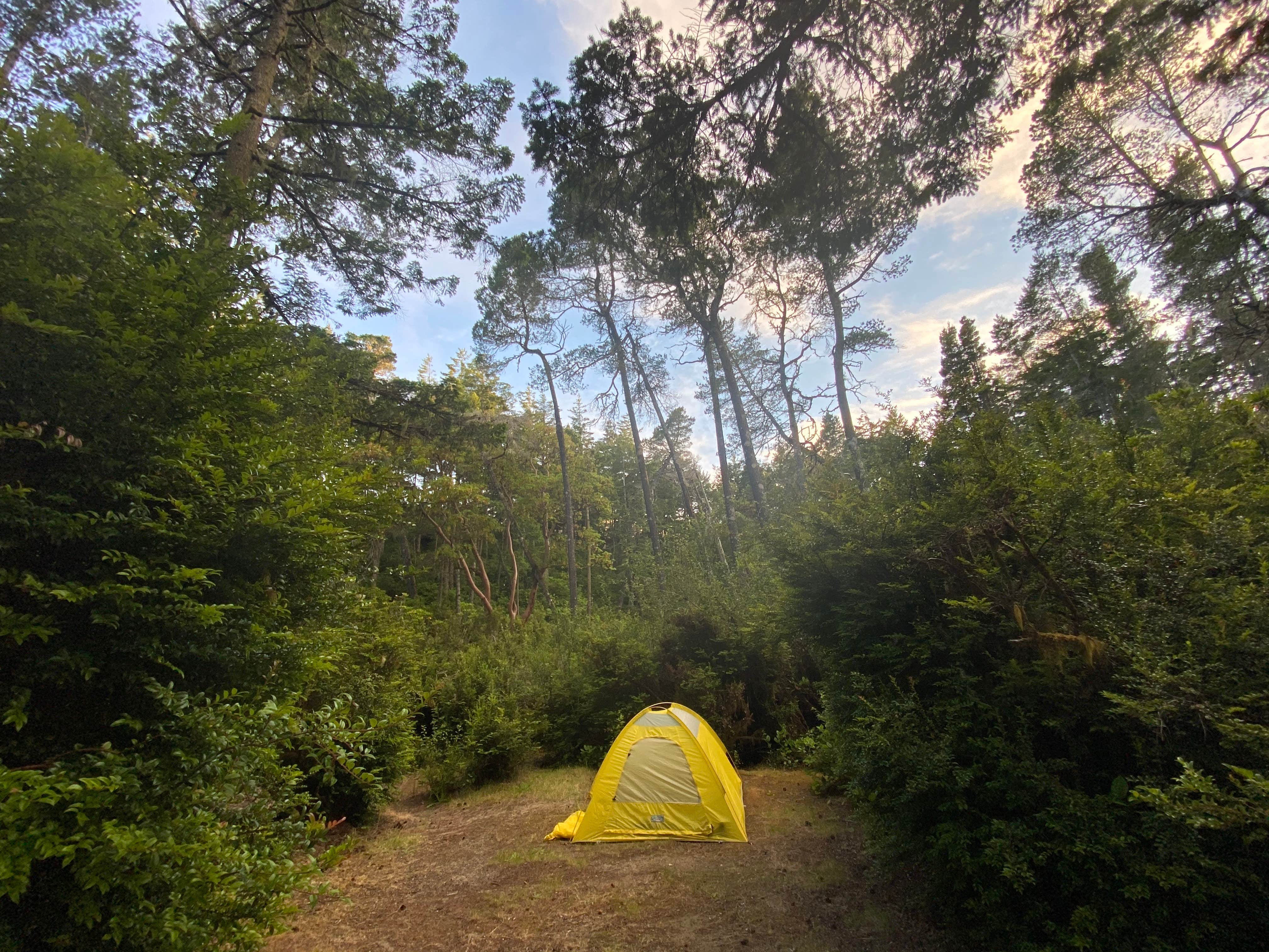 Jessica N.'s photo at Eel Creek Campground near North Bend, OR