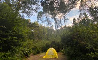 Jessica N.'s photo at Eel Creek Campground near North Bend, OR