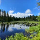 Review photo of Trillium Lake by Jessica N., July 15, 2020