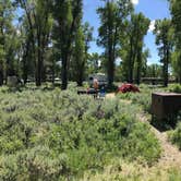 Review photo of Gros Ventre Campground — Grand Teton National Park by Susan V., July 15, 2020