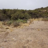 Review photo of Colossal Cave Mountain Park by Krista Z., February 17, 2018