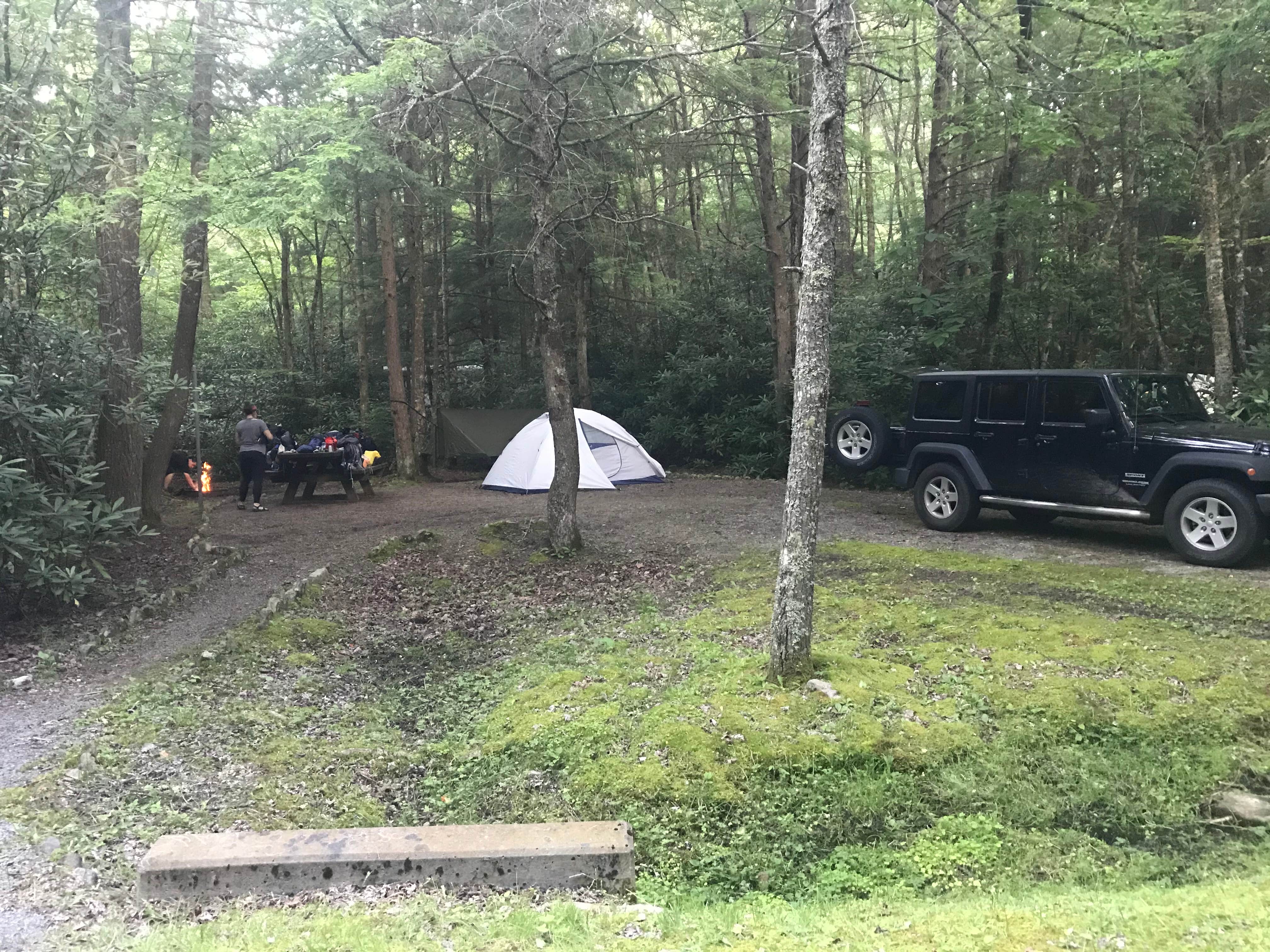 Angie G.'s photo at Jefferson National Forest Beartree Campground near Marion, VA