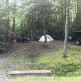 Review photo of Jefferson National Forest Beartree Campground by Angie G., July 15, 2020