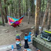 Review photo of Elbert Creek — Psicc by Mark S., July 15, 2020