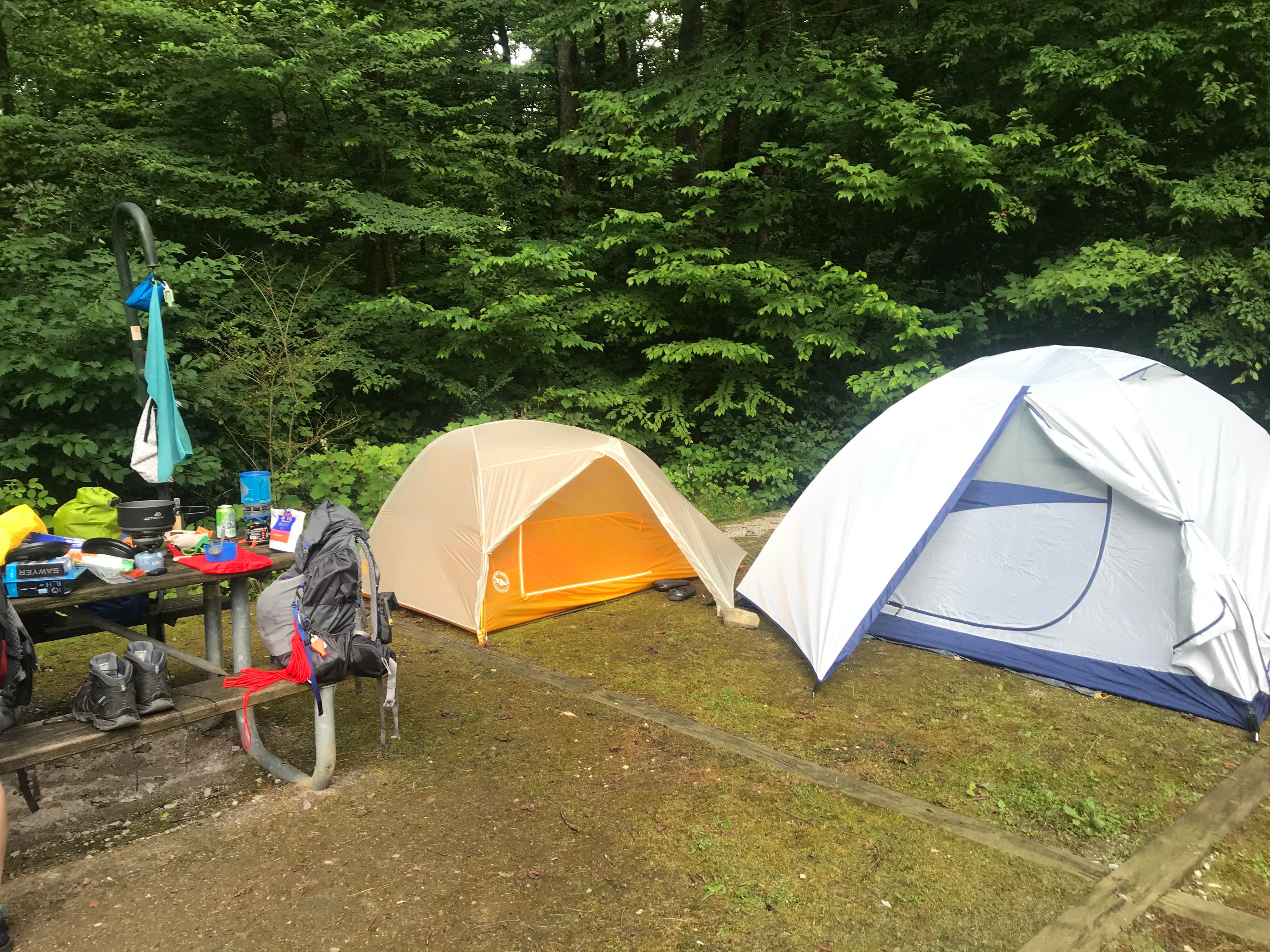 Angie G.'s photo at Curtis Creek Campground near Montreat, NC