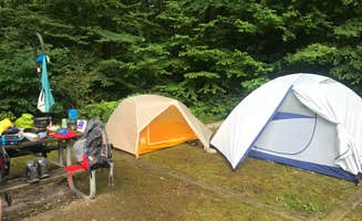 Angie G.'s photo at Curtis Creek Campground near Montreat, NC