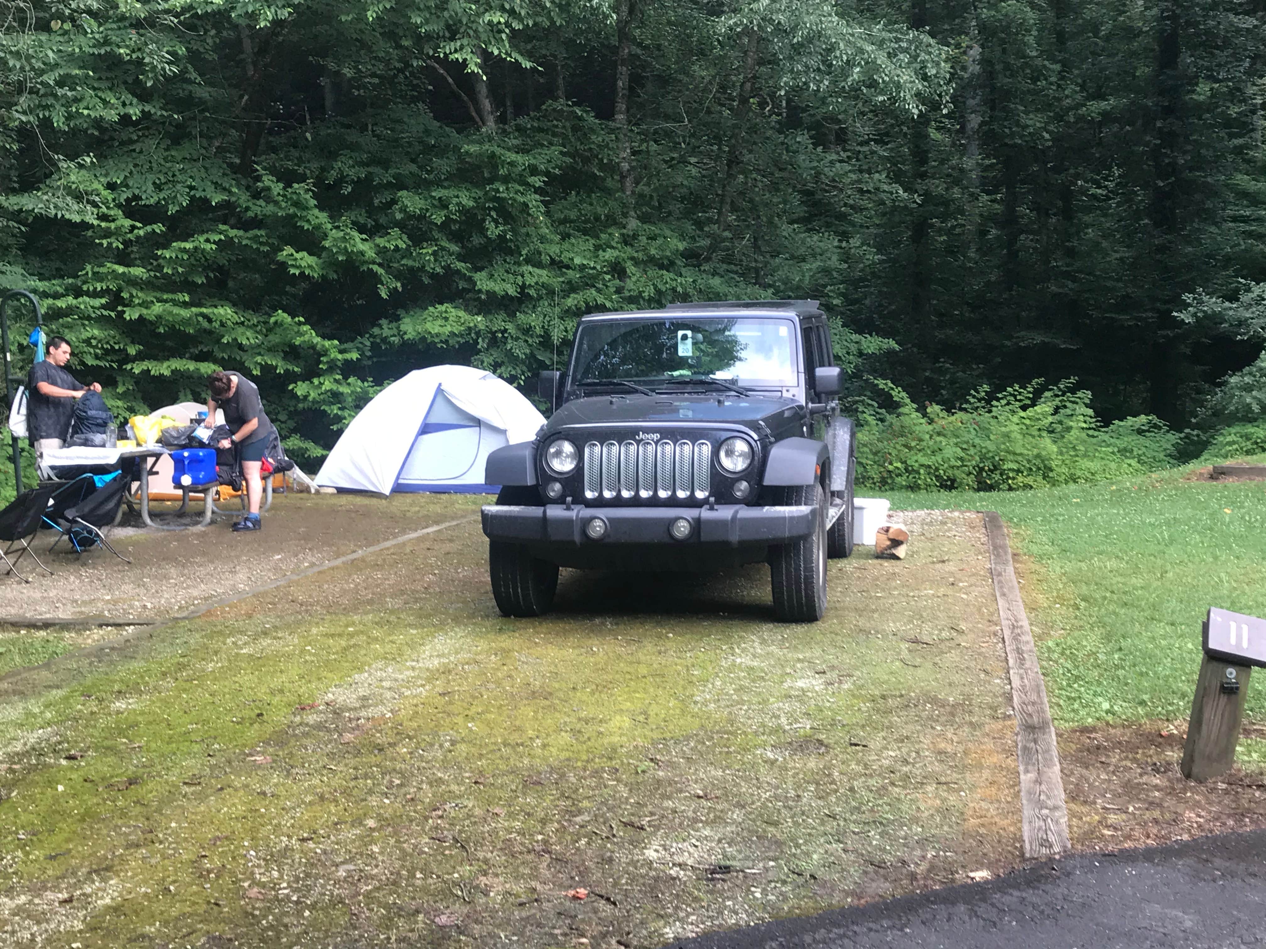 Angie G.'s photo at Curtis Creek Campground near Old Fort, NC