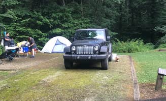 Angie G.'s photo at Curtis Creek Campground near Montreat, NC