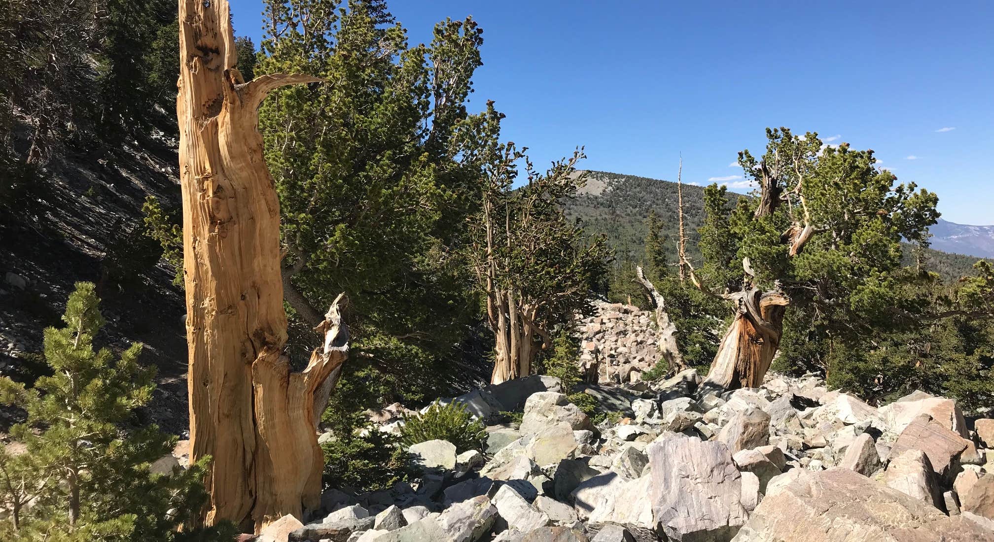 Scenic Mountains near Upper Lehman Creek Campground in Great Basin National Park